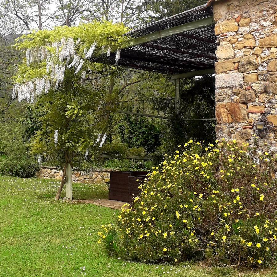Can Pedragos Sales de Llierca Exterior foto